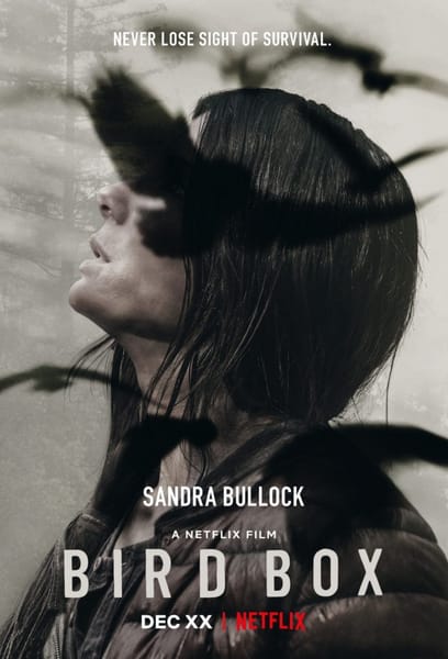 Bird Box poster